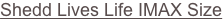 shapeimage_3_link_31